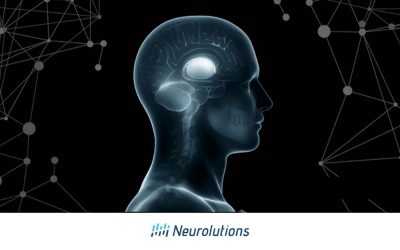 A Guide to Basal Ganglia Stroke