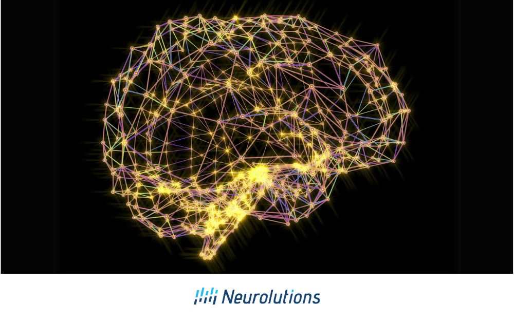 Cortical Plasticity | Neurolutions