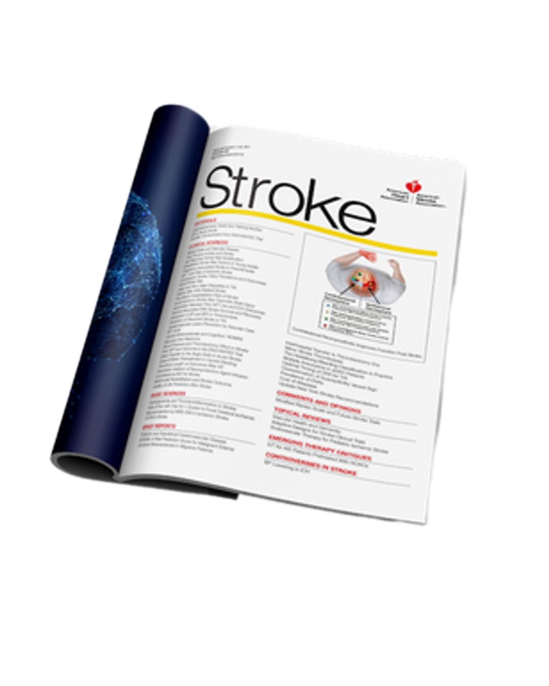 Stroke Magazine